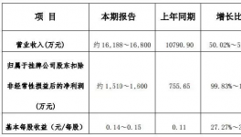 惠爾明發布2016 年年度業績預告