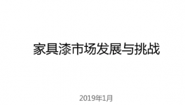 家具漆市場發展與挑戰——陳冰董事長發言